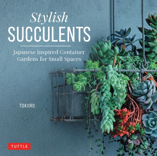 Stylish Succulents: Japanese Inspired Container Gardens for Small Spaces