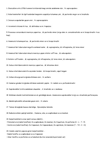 Anatomi Nokta Bilgileri