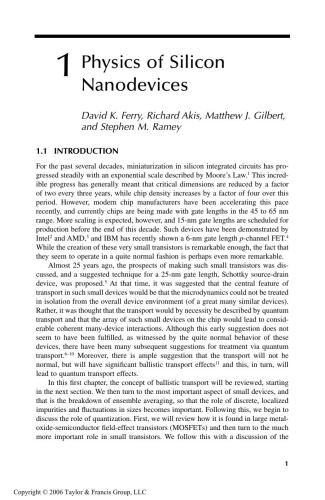 Silicon Nanoelectronics