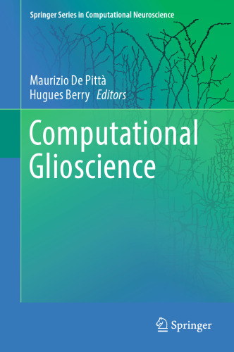 Computational Glioscience