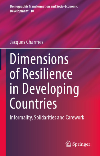 Dimensions of Resilience in Developing Countries: Informality, Solidarities and Carework