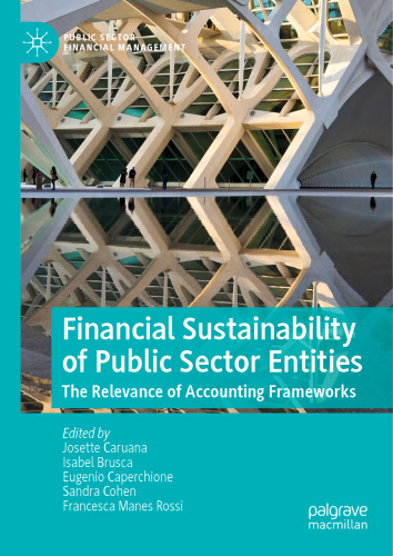 Financial Sustainability of Public Sector Entities: The Relevance of Accounting Frameworks