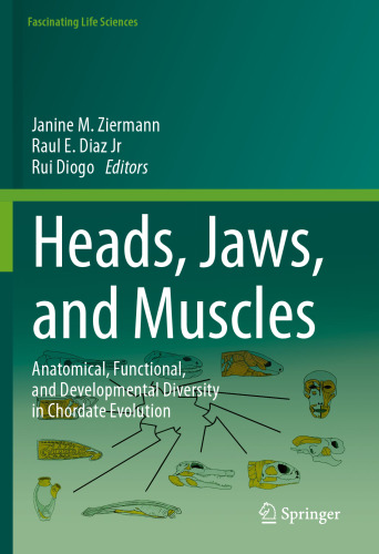 Heads, Jaws, and Muscles: Anatomical, Functional, and Developmental Diversity in Chordate Evolution