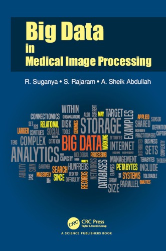 Big data in medical image processing