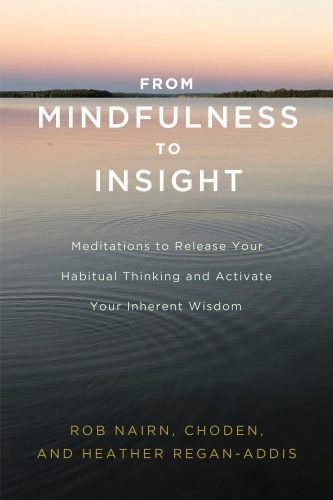 From Mindfulness to Insight: Meditations to Release Your Habitual Thinking and Activate Your Inherent Wisdom