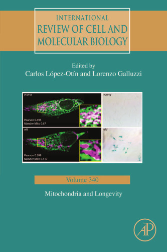 Mitochondria and longevity