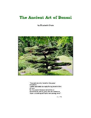 The Ancient Art of Bonsai - Growit Gold Garden & Landscape
