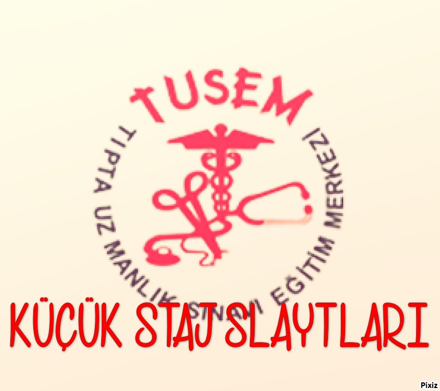Küçük Staj Slaytları