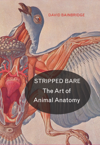 Stripped Bare: The Art of Animal Anatomy