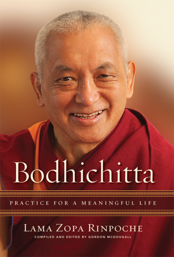 Bodhichitta: Practice for a Meaningful Life