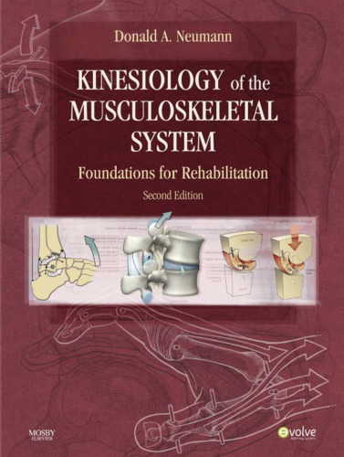 Kinesiology of the musculoskeletal system : foundations for physical rehabilitation.