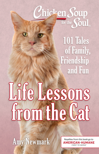 Life Lessons from the Cat 101 Stories About Our Feline Friends and What Matters Most
