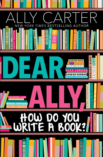 Dear Ally, How Do You Write a Book