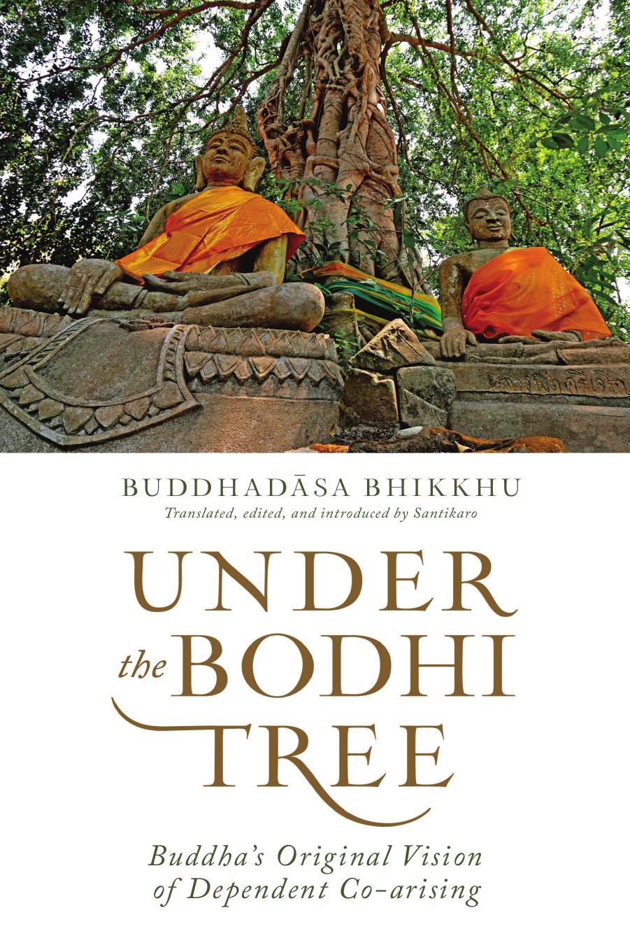 Under the Bodhi Tree: Buddha’s Original Vision of Dependent Co-arising