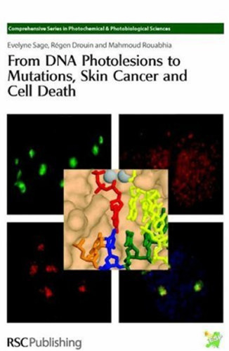 From DNA photolesions to mutations, skin cancer and cell death