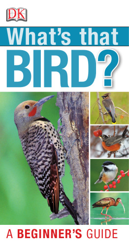 What’s that Bird? A Beginner’s Guide