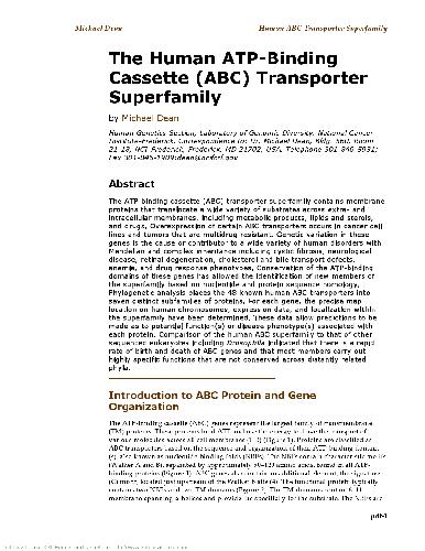The Human ATP-Binding Cassette (ABC) Transporter Superfamily