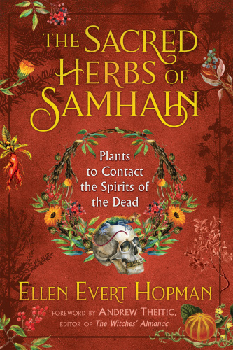 The Sacred Herbs of Samhain: Plants to Contact the Spirits of the Dead