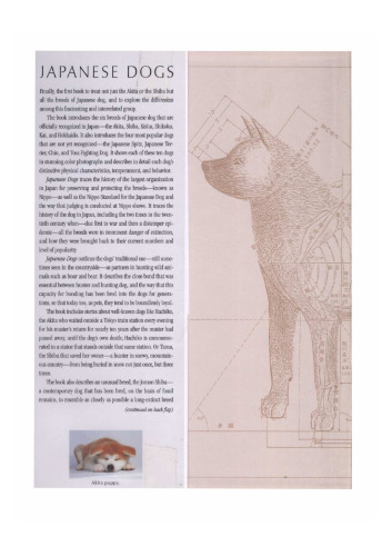 Japanese Dogs: Akita, Shiba, and Other Breeds