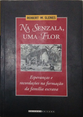 Na Senzala, Uma Flor: Esperancas E Recordacções Na Formação Da Familia Escrava: Brasil Sudeste, Seculo XIX