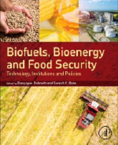 Biofuels, Bioenergy and Food Security: Technology, Institutions and Policies