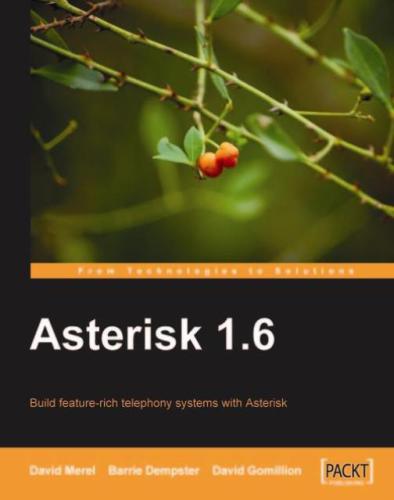 Asterisk 1.6: build feature-rich telephony systems with Asterisk. - Description based on resource description page