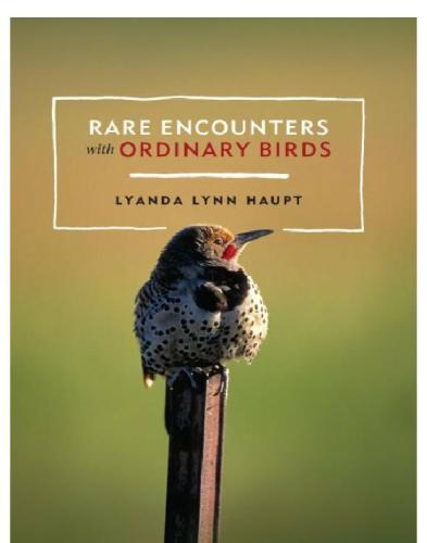 Rare Encounters with Ordinary Birds