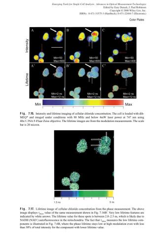 Emerging Tools for Single-Cell Analysis: Advances in Optical Measurement Technologies