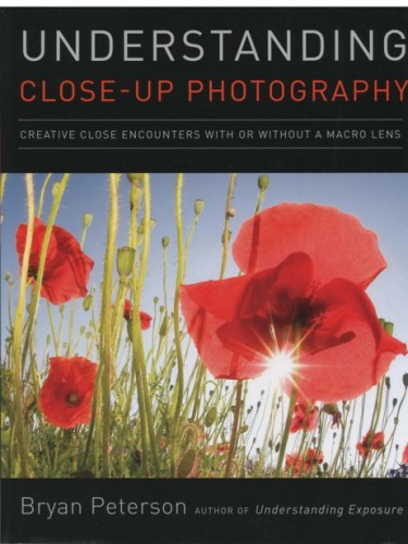 Understanding Close-Up Photography: Creative Close Encounters With or Without a Macro Lens