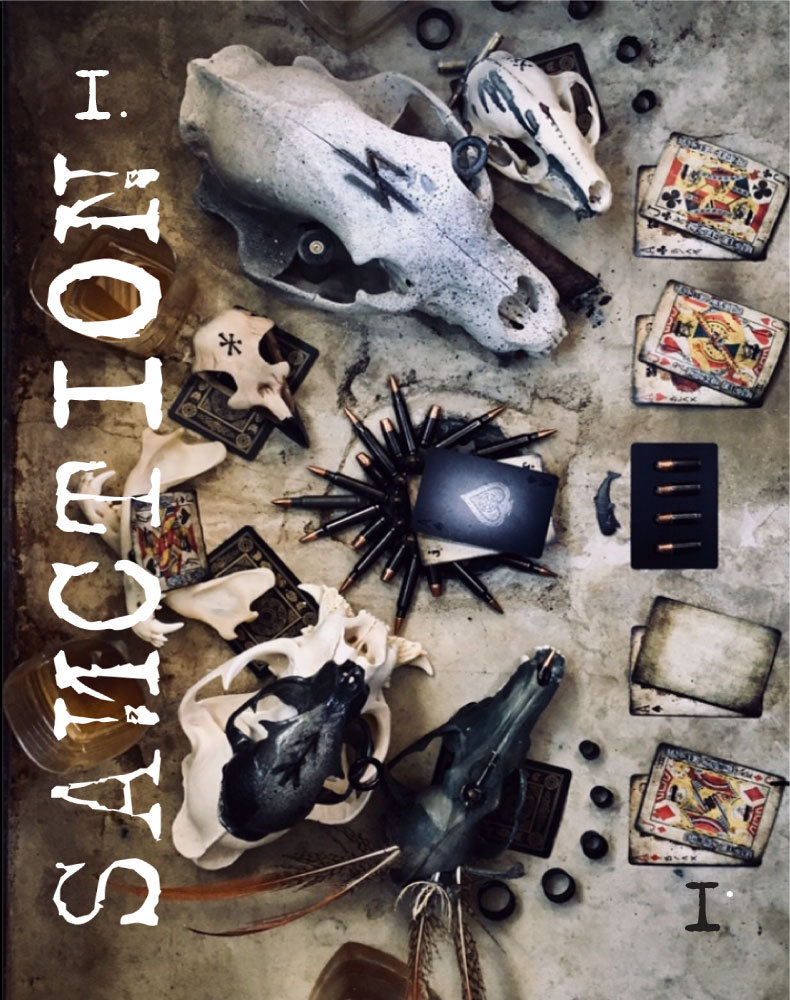 Sanction (Sanction The Book Book 1)