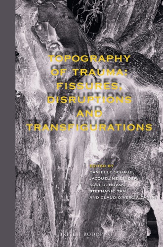Topography of trauma : fissures, disruptions and transfigurations