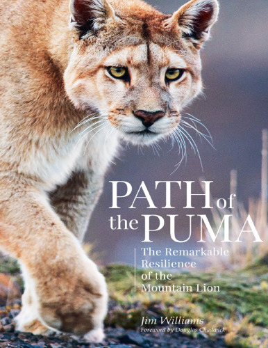 The Path of the Puma: The Mountain Lion’s Survival in the Shadow of Decline