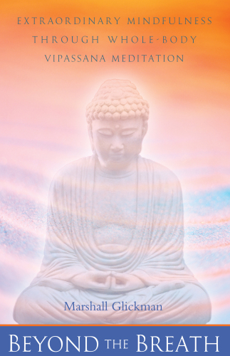 Beyond the breath : extraordinary mindfulness through whole-body Vipassana meditation