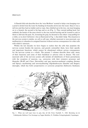 Non-Neuronal Cells of the Nervous System: Function and Dysfunction: Structure, Organization, Development and Regeneration: in Molecular and Cell Biology) (Pt. I)