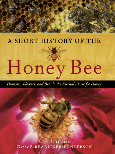 A Short History of the Honey Bee: Humans, Flowers, and Bees in the Eternal Chase for Honey
