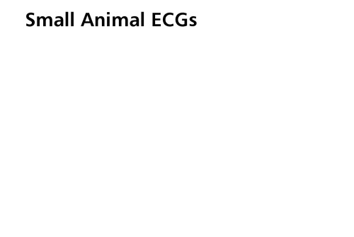 Small Animal ECGs: An Introductory Guide