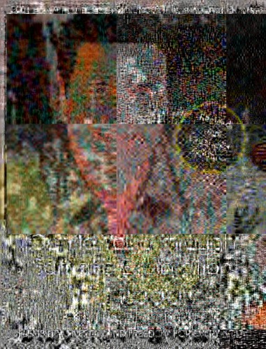 Gentle Yoga through Somatic Exploration Workbook