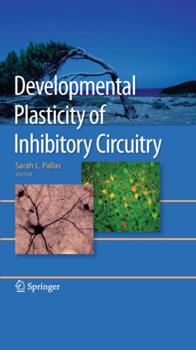 Developmental Plasticity of Inhibitory Circuitry