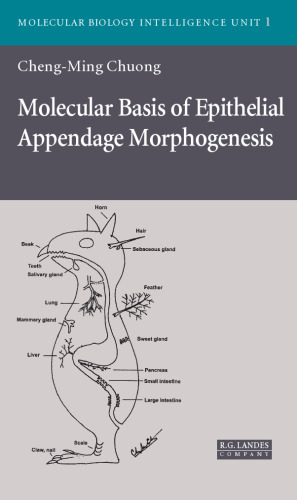 Molecular Basis of Epithelial Appendage Morphogenesis