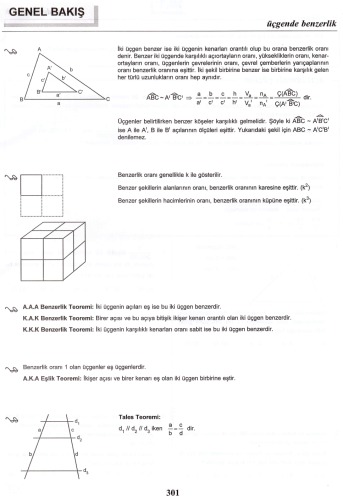 Geometrica 4.1 Üçgende Eşlik-Benzerlik