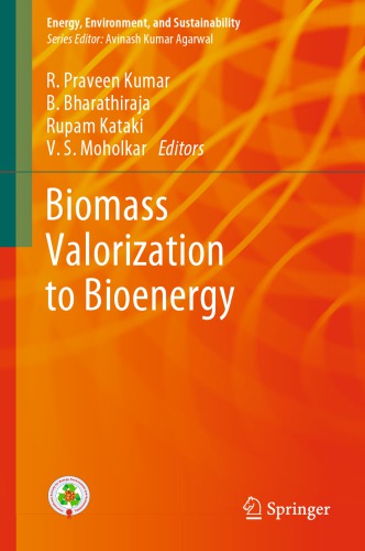 Biomass Valorization To Bioenergy