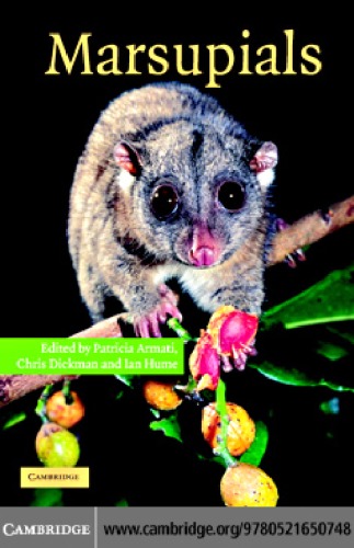 Armati - marsupials