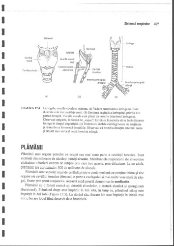 Anatomie Si Fiziologie Umana Pentru Admitere La Facultatile de Medicina Partea 3 Anatomia Omului