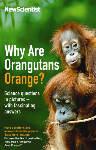 Why Are Orangutans Orange?: Science Questions in Pictures - With Fascinating Answers: More Questions and Answers from the Popular ’Last Word’ Column