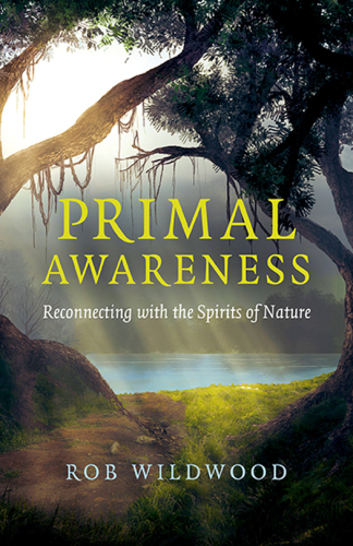 Primal Awareness: Reconnecting with the Spirits of Nature