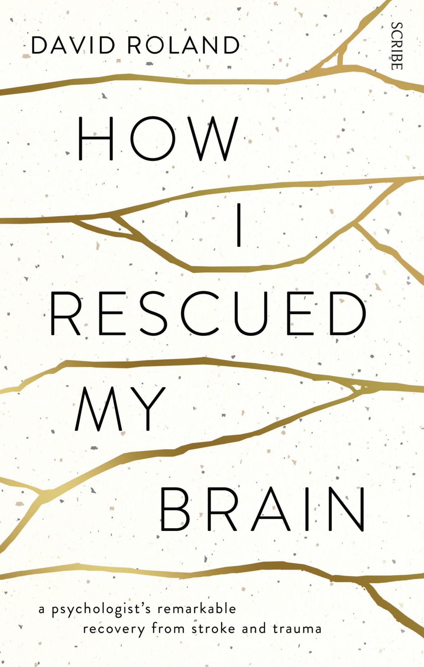 How I Rescued My Brain: A Psychologist’s Remarkable Recovery From Stroke and Trauma
