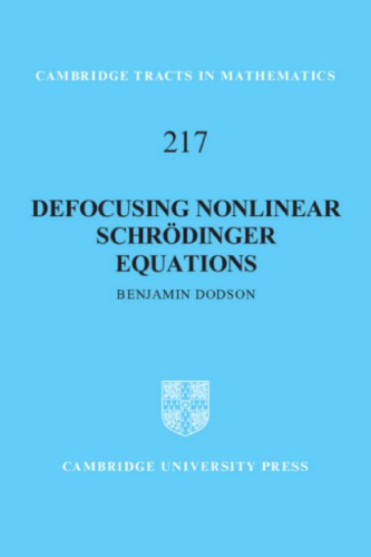 Defocusing Nonlinear Schrodinger Equations