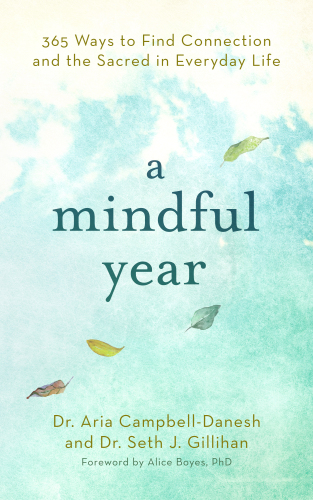 A Mindful Year: 365 Ways to Find Connection and the Sacred in Everyday Life