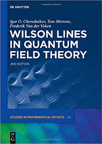 Wilson Lines in Quantum Field Theory
