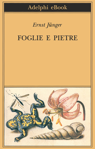 Foglie e pietre